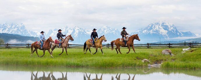 Ariat banner
