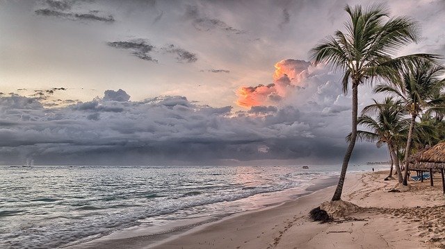 coverforyou travel insurance