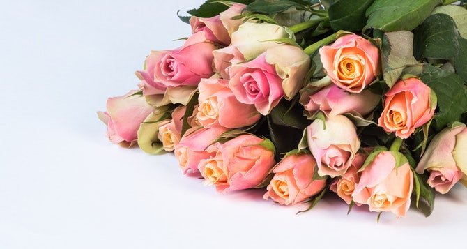 Bunch of pink roses