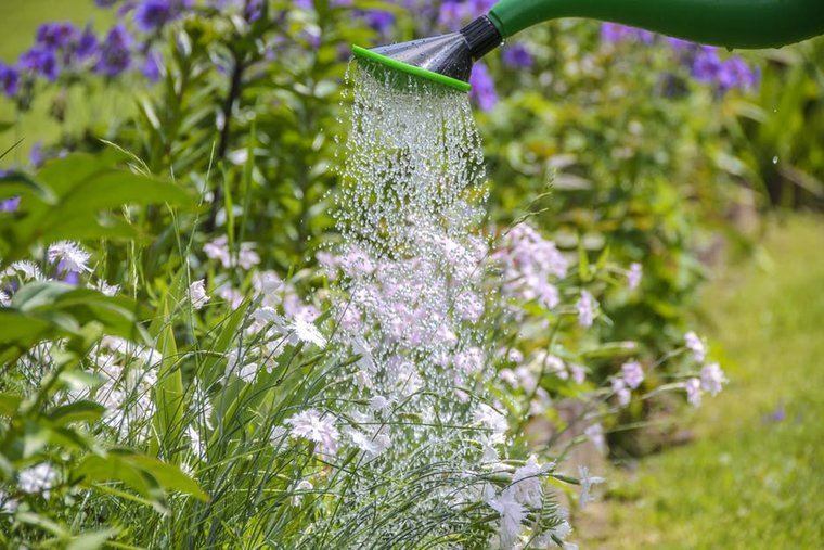 Greenfingers banner image - watering garden plants