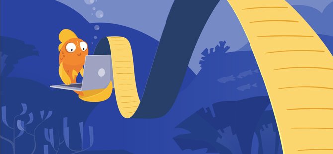 namecheap illustration of fish on laptop