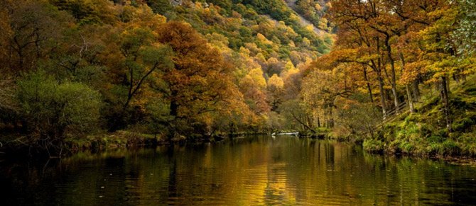 National Trust discount codes banner - National Trust park with lake