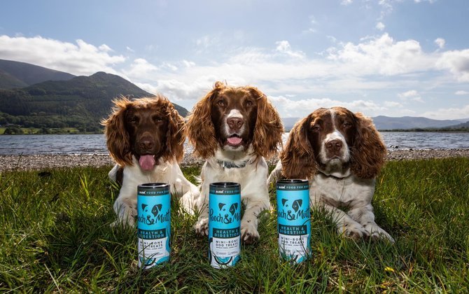 Dogs with the Pooch & Mutt food range