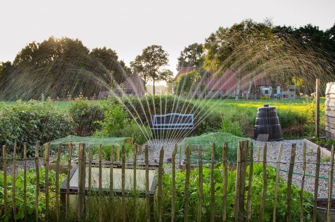 Garden being watered with sprinkler
