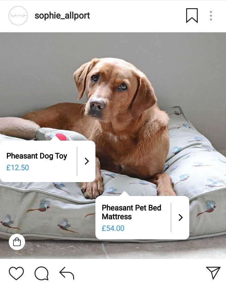 20 Off Sophie Allport Discount Codes & Vouchers 2022