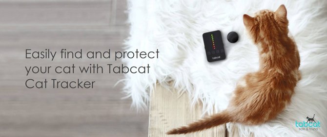 tabcat banner image