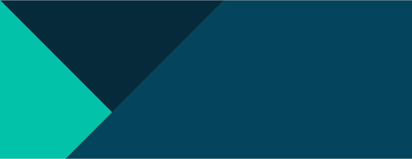 The Telegraph brand banner