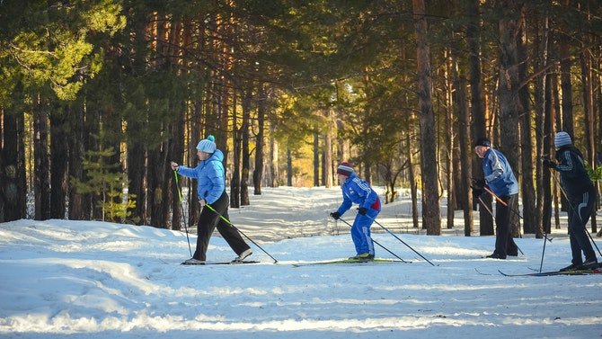 Family skiing through forest